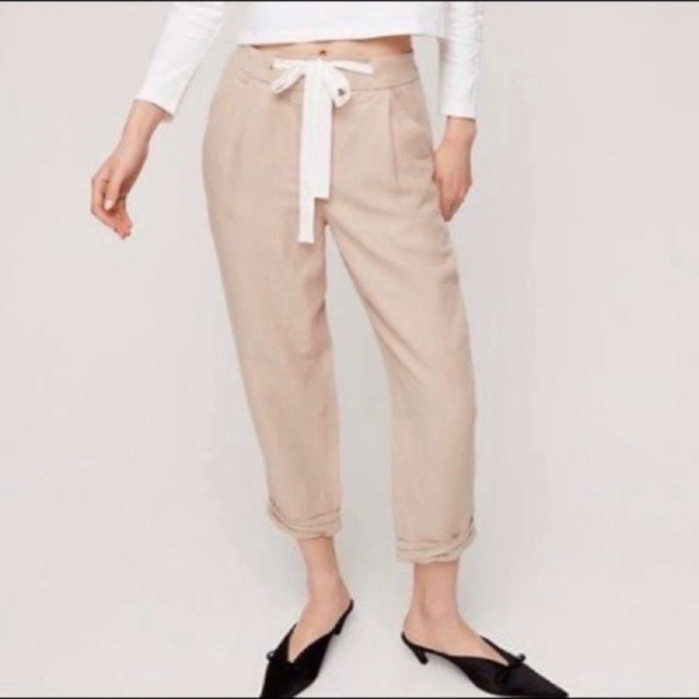 Aritzia Allant Pants